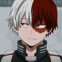 Todoroki Shoto