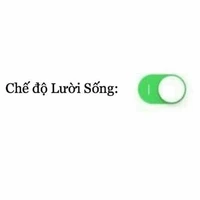 nhân vật khác