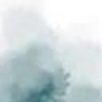 ↓