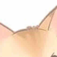 Yohgo
