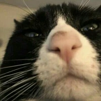 dân quần chúng 1