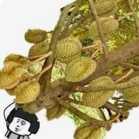 All