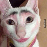 Con đĩ tình êu