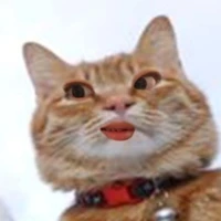 Yunn🐟(t/g chỉ được 4đ văn•́ ‿ ,•̀)