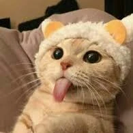 *＊✿❀T/G cute😘❀✿＊*