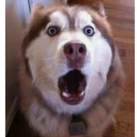 Con tác giả thiểu năng