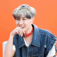 Jung Hoseok - Cậu
