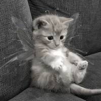 tác giả có phép thuật winx:3