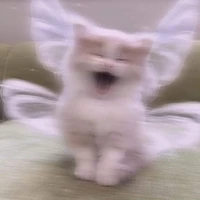nhân vật phụ cute:3
