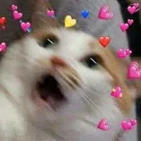 đàn em minami