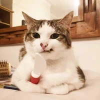 kon kác kả ku ke