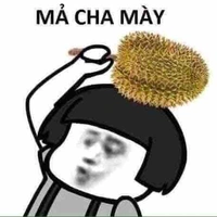 Nv Phụ