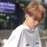 Kim Y/n