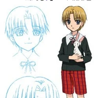 nogi ruka