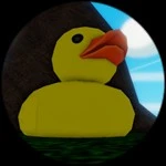 Duck - Administrator