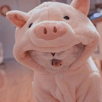Mây(mèo của Y/N)