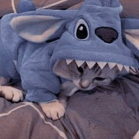 Bà tác giả