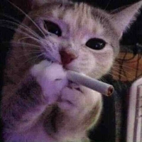 Con tác giả bị khùm