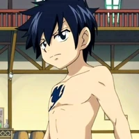 Gray Fullbuster