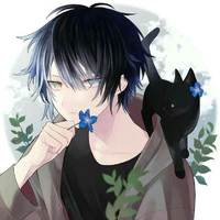 akio tatriro