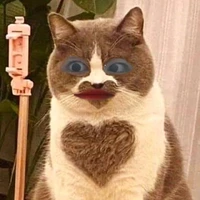 Bunnies nè ✌️✌️