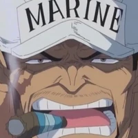 akainu