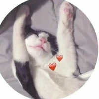 t/g đáng iu :33❤