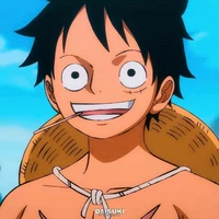Monkey . D . Luffy ( + 7 )