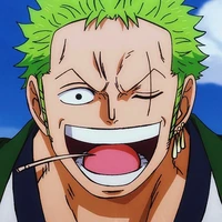 Roronoa Zoro ( + 4 )