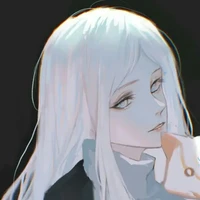 Y/N