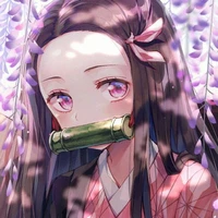 Kamado Nezuko ( Em gái Tanjiro )