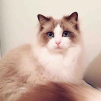 Mimi
