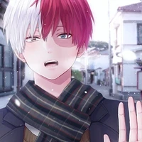 Todoroki Shouto