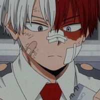 Shoto Todoroki