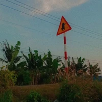 tác giả