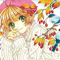Kinomoto Sakura