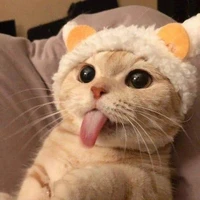 tác giả