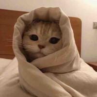 Tác giả:33