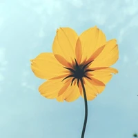 All