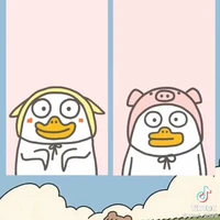 lichaeng