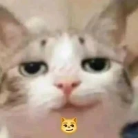 Tác giả chứ ai?😼👣