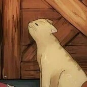 mèo cute ( thích kakashi thôi)
