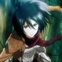 Mikasa Ackerman