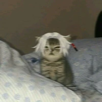 ???