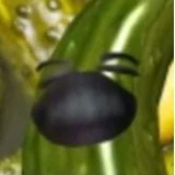 Tác giả Thiểu năng=))