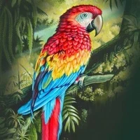 hệ thống-tiểu mã