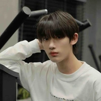 Đinh Trình Hâm 