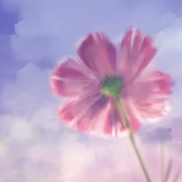 All
