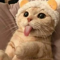 tg cư tê phô mai phe