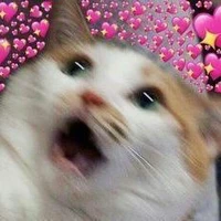 Chị hàng xóm nấu bánh canh:3